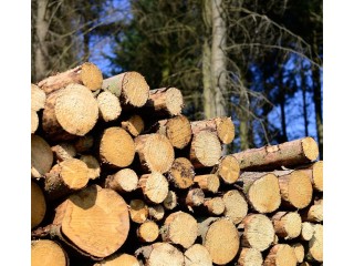 Bois de chauffage prêt à lemploi immédiat