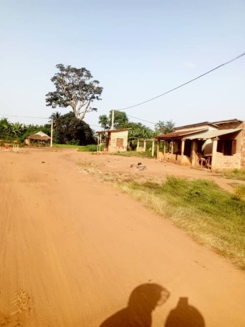 benin-ze-sekou-gdiz-glo-20-parcelles-de-400m2-chacune-avec-titre-foncier-big-3