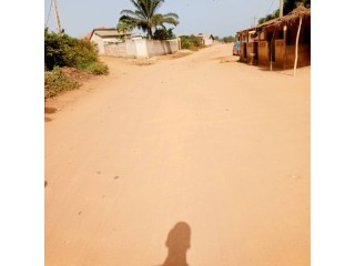 Akassato-Zinvié vente 50 parcelles de 400m² chacune TF Abomey-Calavi